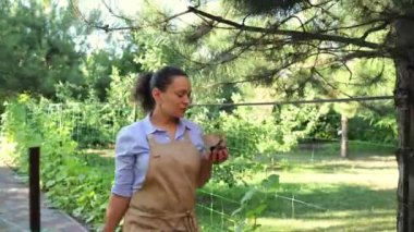 Beautiful multi-ethnic middle-aged woman, gardener, florist carrying a peat pot with sprouted seedlings, holding a bucket with fertilized soil, walking along the garden on abeautiful early summer day