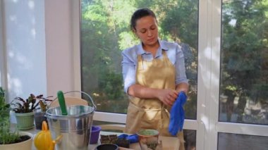 Charming multi-ethnic woman florist amateur, gardener, horticulturist in a blue shirt and beige apron putting on rubber work gloves while working in the countryside home terrace or summer veranda