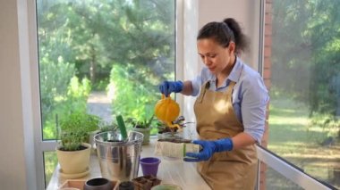 Pretty woman, housewife wearing a beige apron, florist, horticulturist in blue rubber work gloves using an orange watering can, waters sprouted seedlings, taking care of houseplants at home terrace