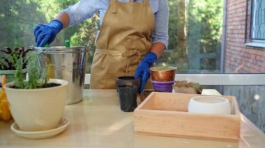 Close-up of the florists hands in blue rubber gloves, pouring fertilized earth from a metal galvanized bucket into a ceramic pot, using a garden shovel while transplanting domestic plants