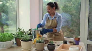 Inspired florist, charming woman wearing beige apron and blue rubber gloves, cutely smiles looking at the camera, standing at a table with a set of garden tools and metal bucket with fertilized soil