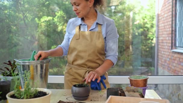 Charming Multi Ethnic Woman Housewife Florist Beige Apron Using Garden — Vídeo de stock