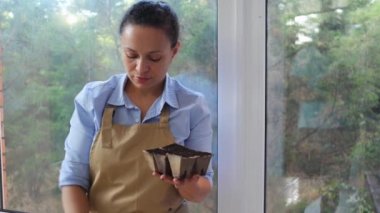 Beautiful curly-haired multi-ethnic woman wearing blue casual shirt and beige work apron, florist gardener plants seed in peat pots and waters with watering can, enjoying gardening hobby. Floriculture