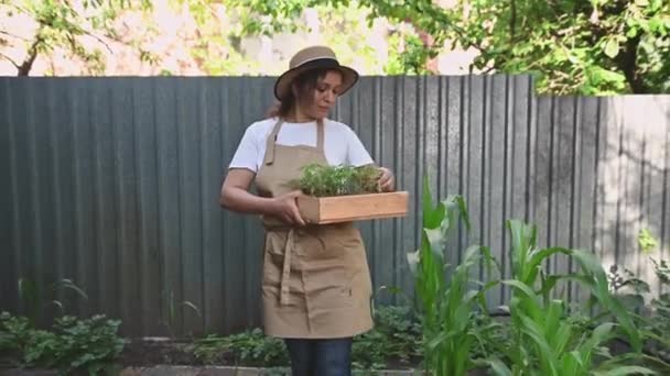 Çok Irklı Bej Önlüklü Hasır Şapkalı Kadın Çiftçi Tarım Kasetlerinin — Stok video