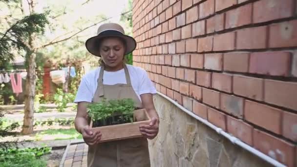 Affascinante Giardiniere Donna Dai Capelli Scuri Multi Etnica Casalinga Che — Video Stock