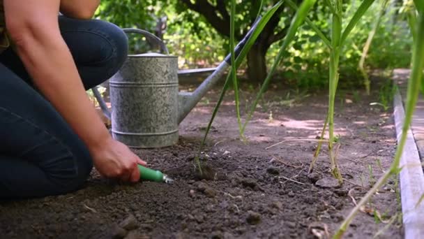 Çevre Sahasında Bir Sulama Tenekesinin Yanında Bahçe Küreği Kullanarak Açık — Stok video