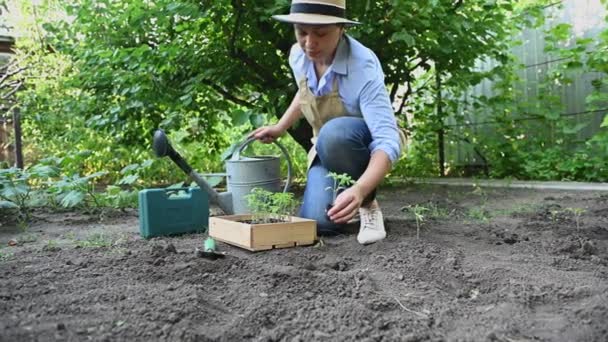 아름답고 문화적 중년의 성공적 농부는 정원을 가꾸는 즐기고 자신의 생태학적 — 비디오