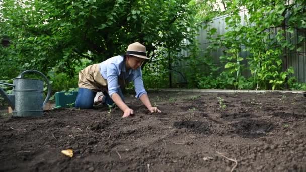 一位身穿米黄色围裙 头戴草帽的多种族妇女 在春天里 一位生态农业工人在露天种植番茄苗 播种季节开始了 受启发的园艺师喜爱园艺 — 图库视频影像