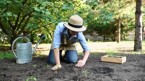 정원사가 베이지 앞치마를 모자를 그림을 그리며 생태계 농부는 자신의 손으로 — 비디오