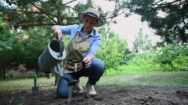 ヒスパニック女性農家 成功した農業家 エコファームの所有者 散水缶を使用して 植え付けシーズンの開始時に地面に緩い土と植物の苗の穴に水をやります — ストック動画