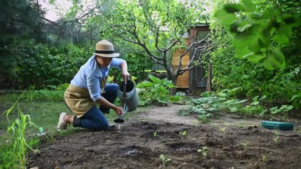 きれいな女性の農家は庭で働き トマトを植えます 散水缶から地面の穴の上に水を注ぎ 苗を土壌に入れ 植物の周りの地球を改ざんする 有機農業 — ストック動画