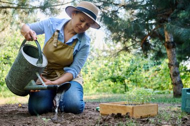 Sulama tenekesi kullanan çok ırklı genç kadın bahçıvandan esinlenerek, kasetlerde ve organik çiftlikteki sera koşullarında yetişen sularda filizlendiler. Tarım hobisi ve iş. Çevre tarımı