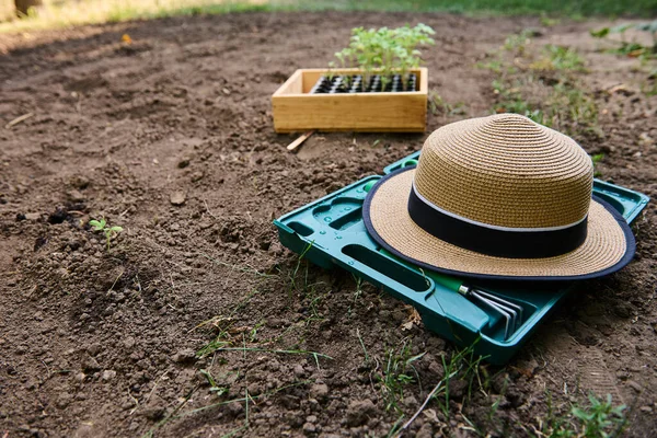 Focus Sélectif Sur Chapeau Paille Sur Une Boîte Avec Des — Photo