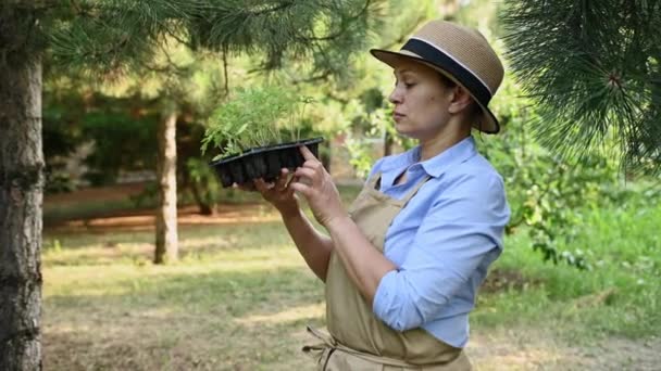 Vita Una Contadina Multietnica Esperta Agricoltrice Che Esamina Piantine Pomodoro — Video Stock