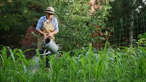 Longitud Completa Una Agricultora Multiétnica Agricultora Delantal Beige Sombrero Paja — Vídeos de Stock