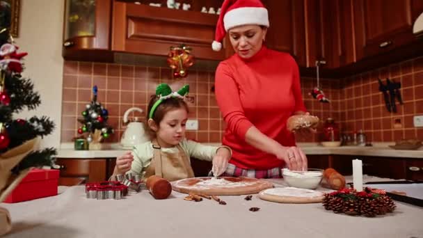 自家製のクッキーを準備しながら 彼女のお母さんはジンジャーブレッド生地を保持しながら 魅力的な女の子は 自己フープとシェフエプロンを身に着けている 木製のボード上の小麦粉を振りかける 家族のレシピによると メリークリスマス — ストック動画