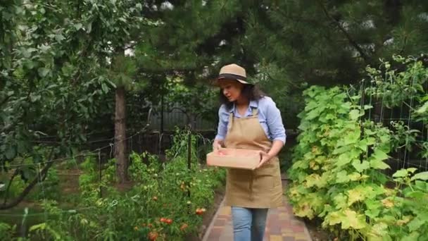 Bej Önlüklü Hasır Şapkalı Çok Irklı Genç Bir Kadın Bir — Stok video