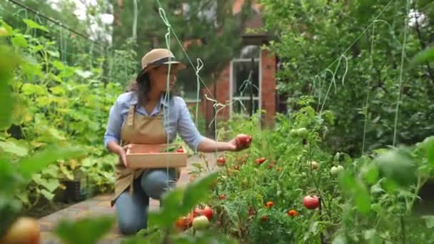 Steadicam Shot Charmante Agricultrice Latino Américaine Amateur Agronome Chapeau Paille — Video