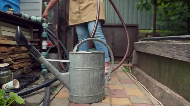 Vista Recortada Jardinero Agricultor Vertiendo Agua Manguera Una Regadera Metal — Vídeos de Stock