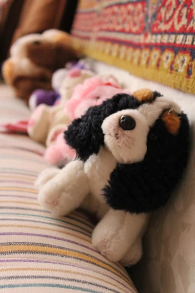 Üzgün oyuncak köpek yavrusu