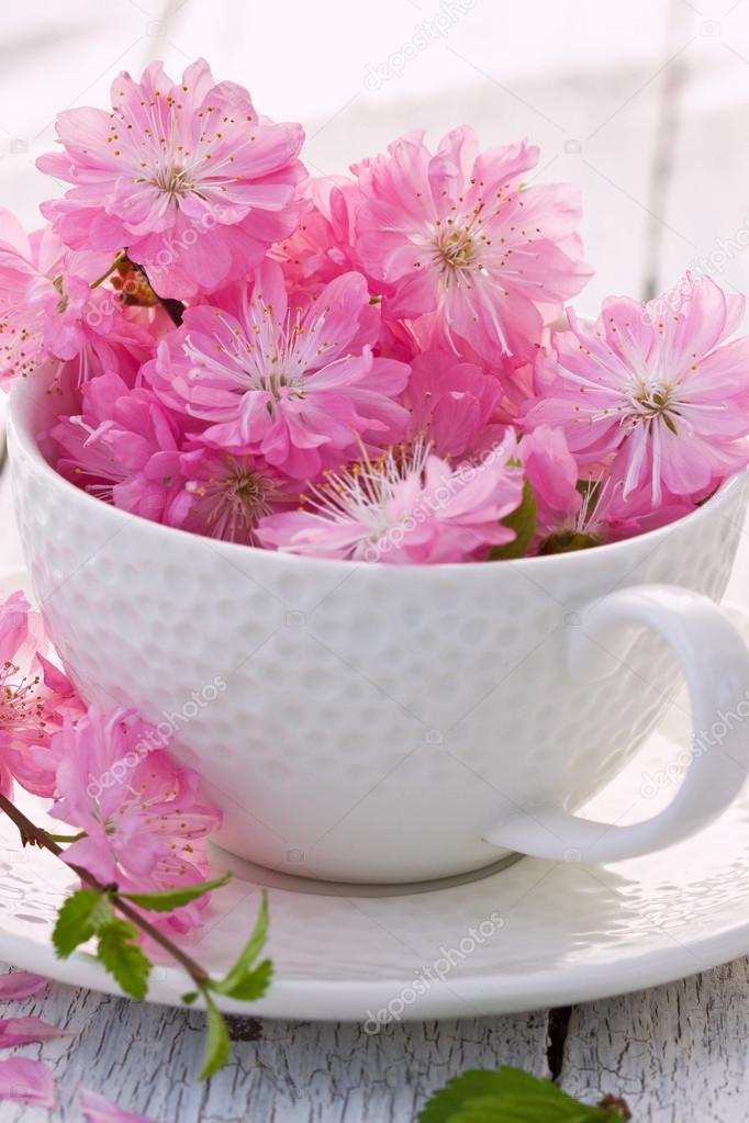 bouquet of sakura blossoms