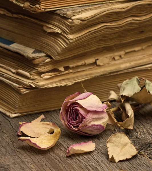 Rosa secca e libri antichi — Foto Stock