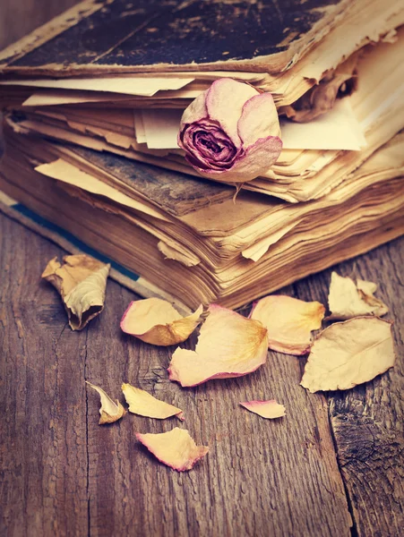 Rosa secca e libri — Foto Stock