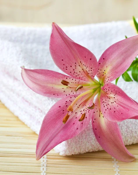 Pink lily and towel — Stock Photo, Image