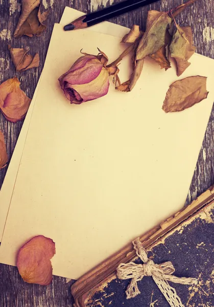 Rosa seca y libro viejo Fotos De Stock