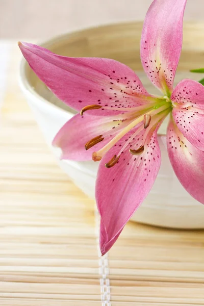 Spa with pink lily on the bowl with water — Stock Photo, Image