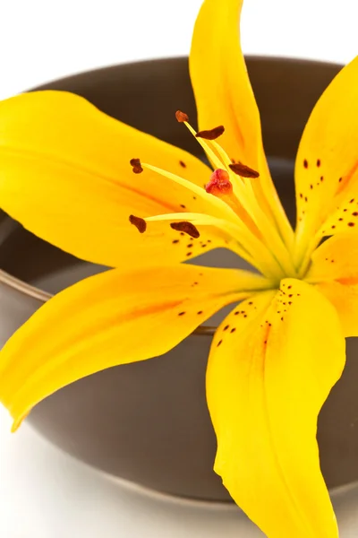 Lázně s žlutá lilie na misku s vodou — Stock fotografie