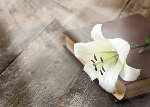 kitap üzerinde beyaz zambak