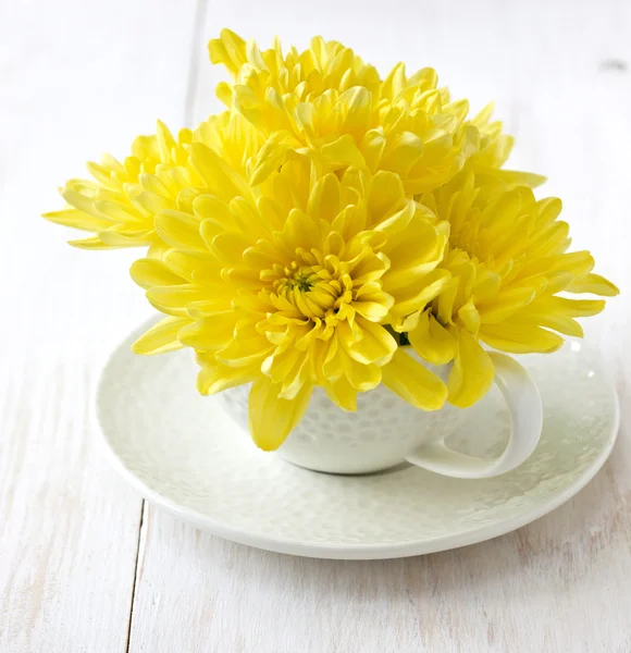 Gele chrysant — Stockfoto