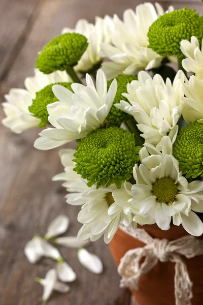 Boeket van witte en groene chrysanten — Stockfoto