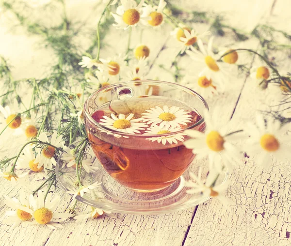 Chamomile tea — Stock Photo, Image