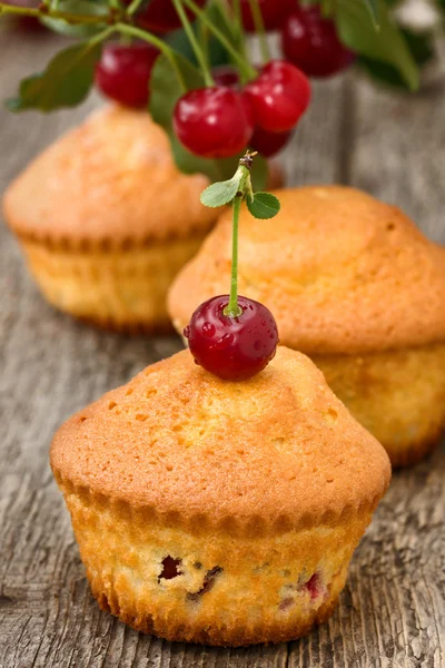 Cupcakes with a cherry — Stock Photo, Image