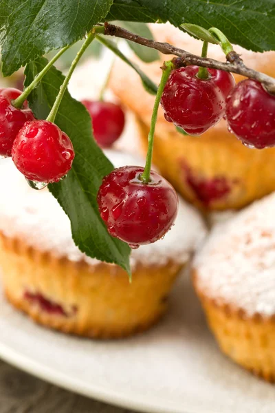 Cherries with water drops — Stock Photo, Image