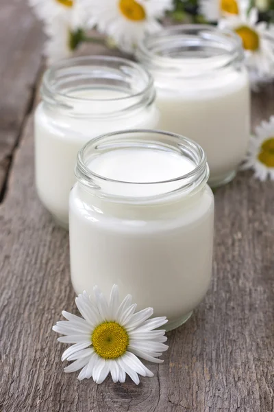 Homemade yogurt — Stock Photo, Image