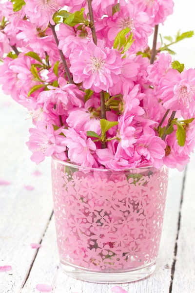 Bouquet di sakura — Foto Stock