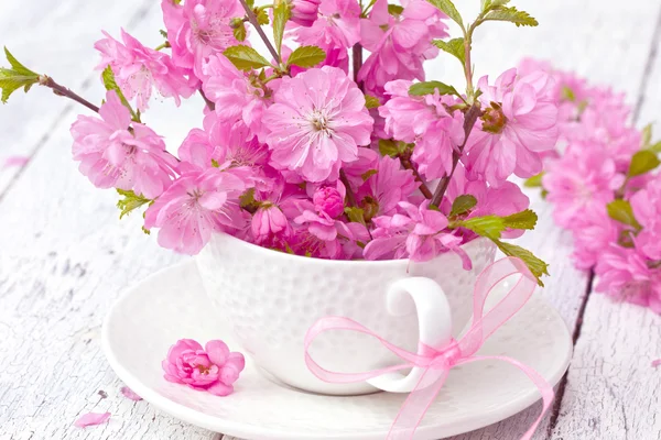 Buquê de flores de sakura — Fotografia de Stock