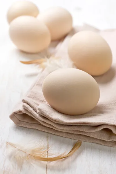 Huevos de pollo — Foto de Stock