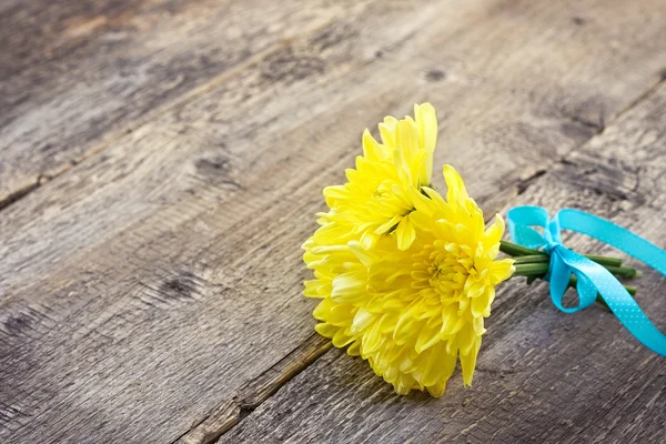 Gelbe Chrysanthemen — Stockfoto