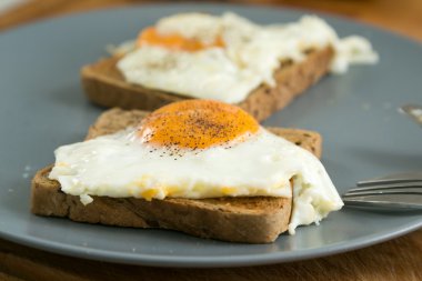 spiegelei auf tost