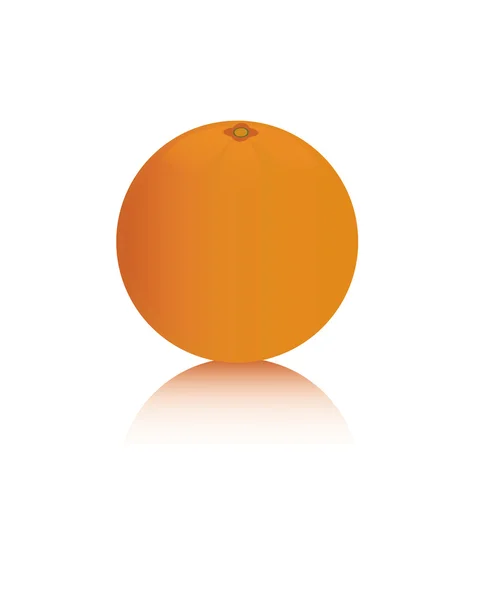 Orange isoliert — Stockvektor