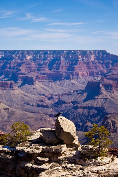 Grand Canyon, Arizona, Estados Unidos — Foto de Stock