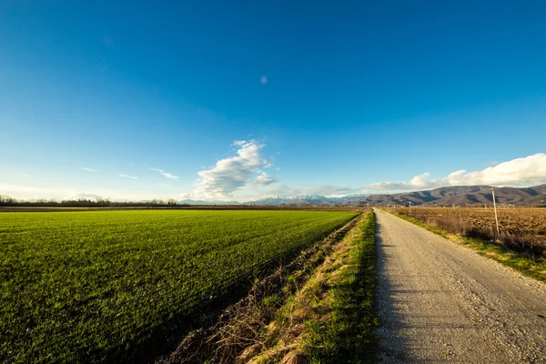 Landweg door de velden — Stockfoto