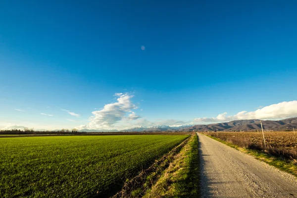 Landweg tussen de velden — Stockfoto