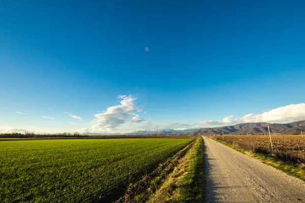Landweg door de velden — Stockfoto