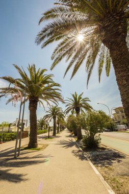 İtalya'nın deniz önünde yol avucunda