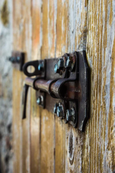 Vecchio grassetto su una porta di legno — Foto Stock